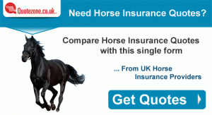 horse insurance quotes